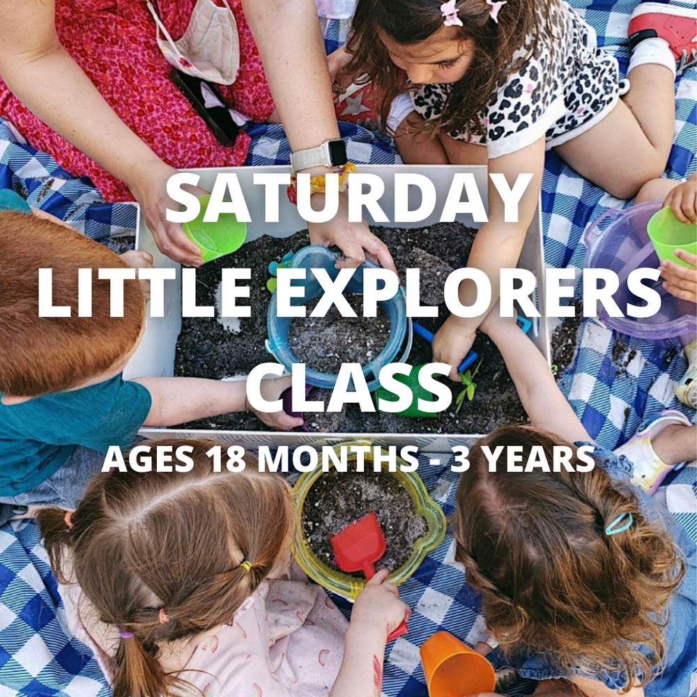 SATURDAY LITTLE EXPLORERS CLASS (ages 18 months - 3 years)